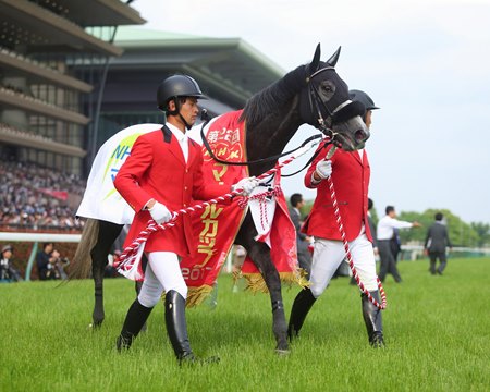 Japanese Filly Aerolithe To Pegasus World Cup Turf Bloodhorse