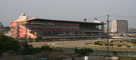 Japan’s Road to the Dirt Triple Crown Set to Begin