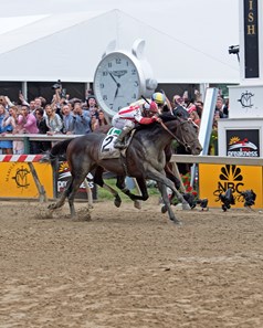 Cloud Computing with Javier Castellano up wins the Preakness Stakes (gr. I) for Klaravich Stables and William Lawrence, and trainer Chad Brown.
May 20, 2017 Baltimore in Pimlico, Maryland. 
