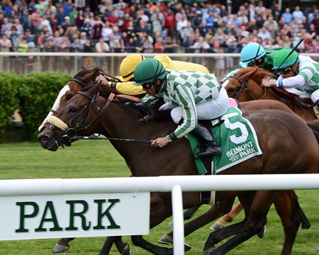 Morticia Holds off Lull to Win Soaring Softly BloodHorse