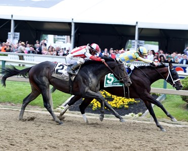 Cloud Computing wins the 2017 Preakness Stakes (G1)