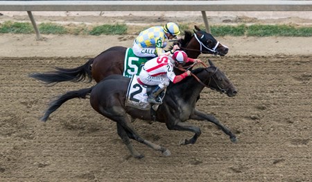 Cloud Computing passing Classic Empire down the stretch to win the Preakness 
