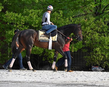 Cloud Computing
Preakness contenders at Pimlico. 
May 18, 2017 Baltimore in Pimlico, Maryland. 
