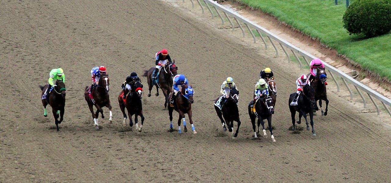 2017 Preakness Stakes Race Sequence Features BloodHorse com 2017 Preakness Stakes Race Sequence Features BloodHorse com