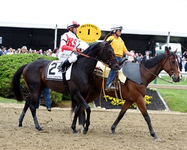 Cloud Computing wins the 2017 Preakness Stakes