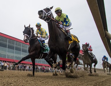 Cloud Computing with jockey Javier Castellano, stalks the leaders Always Dreaming and Empire Classic in to the Clubhouse turn on the way to the win the 142nd running of the Preakness Stakes Saturday May 20, 2017 at Pimlico Race Course in Baltimore, MD.  Photo by 
