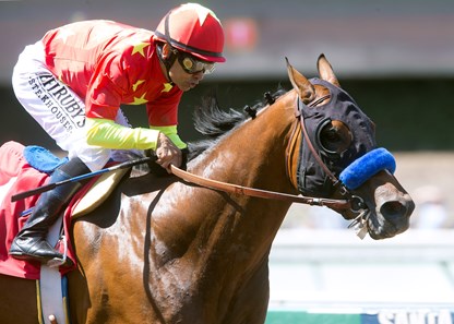 American Anthem - Horse Profile - BloodHorse