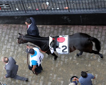 Cloud Computing wins the 2017 Preakness Stakes 