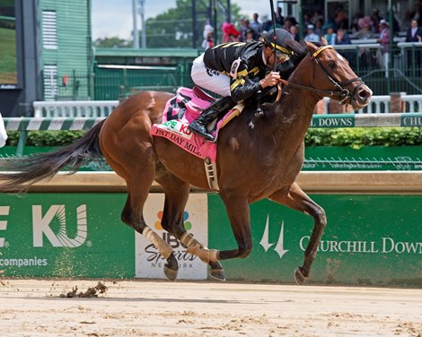 Wild Shot Too Good in Pat Day Mile | BloodHorse.com