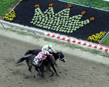 Cloud Computing (#2) with Javier Castellano win the 142nd Running of the Preakness Stakes at Pimlico on May 20, 2017 over Classic Empire (#5) with Julien Leparoux. 