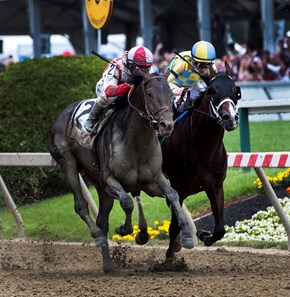 Cloud Computing with jockey Javier Castellano, left catches Classic Empire with jockey Julien Leparoux at the wire to win the 142nd running of the Preakness Stakes Saturday May 20, 2017 at Pimlico Race Course in Baltimore, MD.  