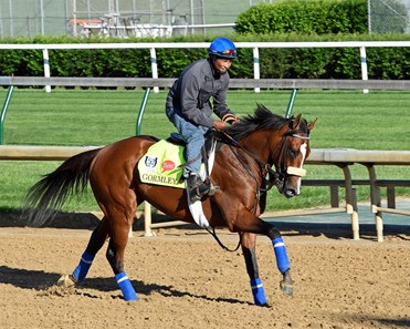 Gormley - Horse Profile - BloodHorse