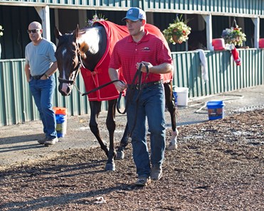 Classic Empire - Horse Profile - BloodHorse