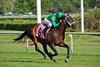 Cowboy Culture wins the 2017 Arlington Classic, jockey Shaun Bridmohan up