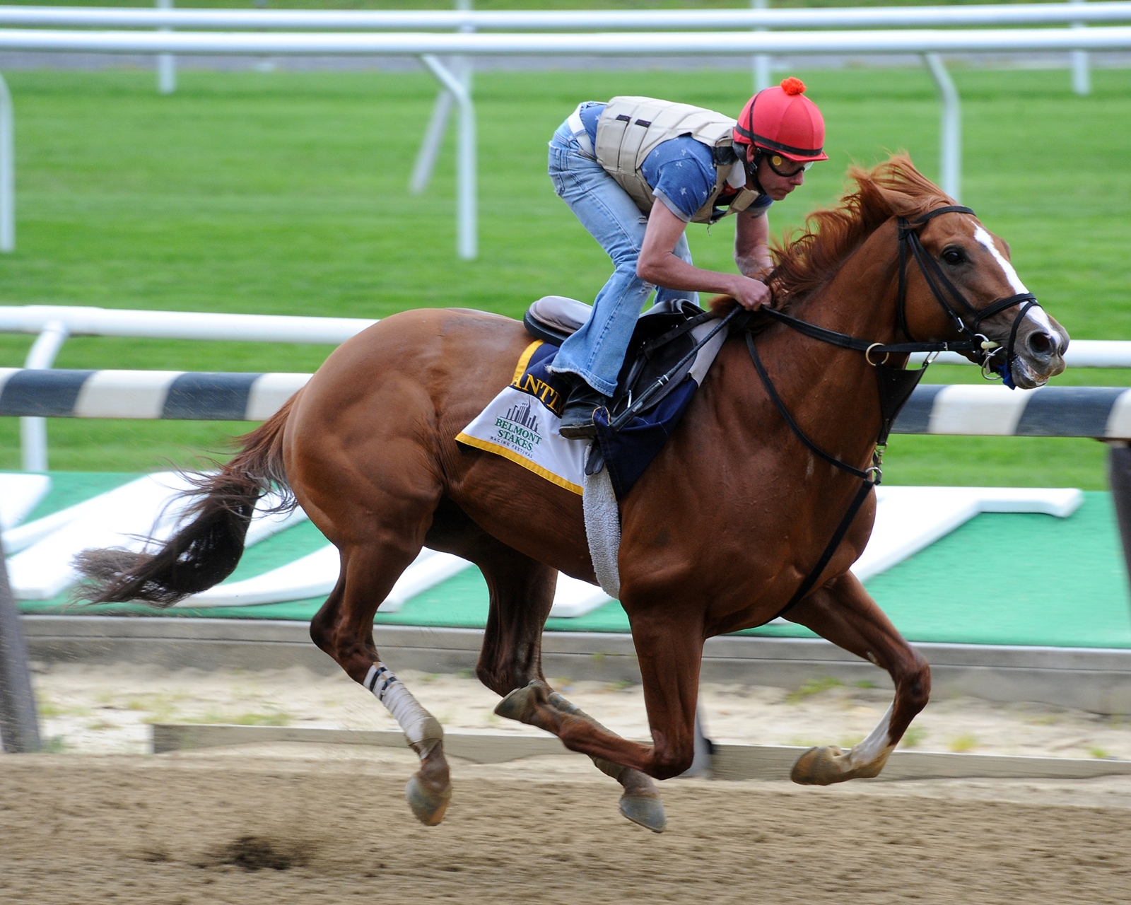 Belmont Stakes 2015 Seating Chart