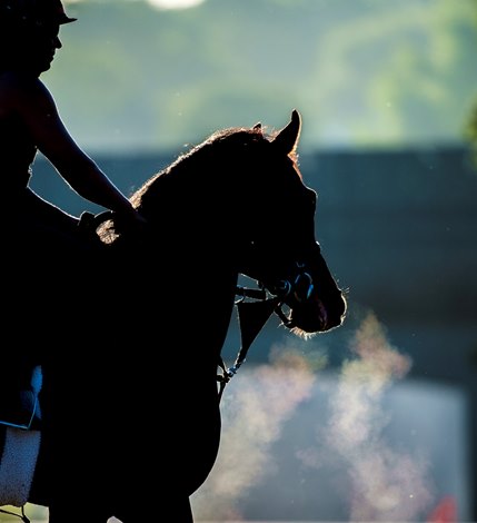 Jordan Fishman Jordan Fishman Pleads Guilty to Misbranding Drugs - BloodHorse