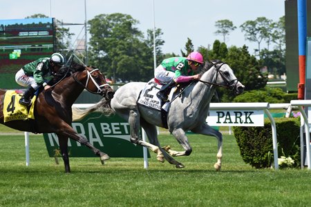 Disco Partner wins the 2017 Jaipur Invitational Stakes at Belmont Park