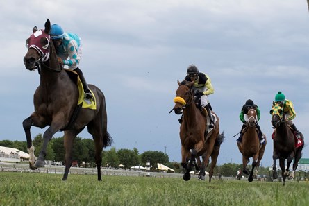 Oak Brook - Horse Profile - BloodHorse