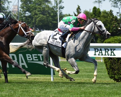 Disco Rico and His Record-Setting Son Disco Partner - BloodHorse