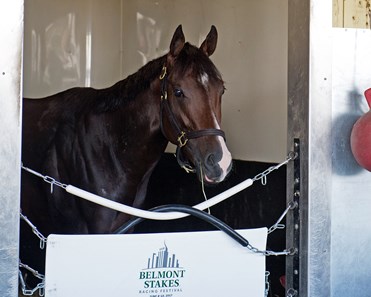 Classic Empire - Horse Profile - BloodHorse