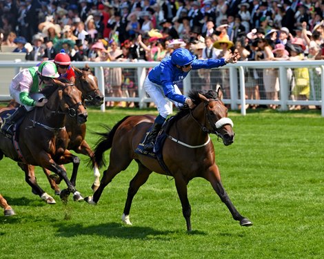 Ribchester to Shuttle to Hanui Farm in New Zealand - BloodHorse