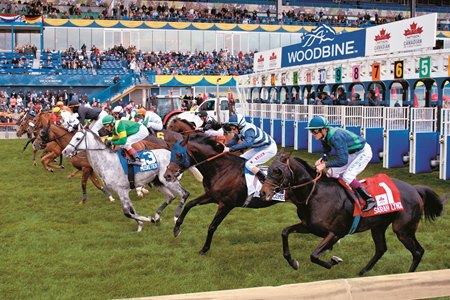 Mohawk Horse Racing Schedule Mohawk Horse Racing Schedule