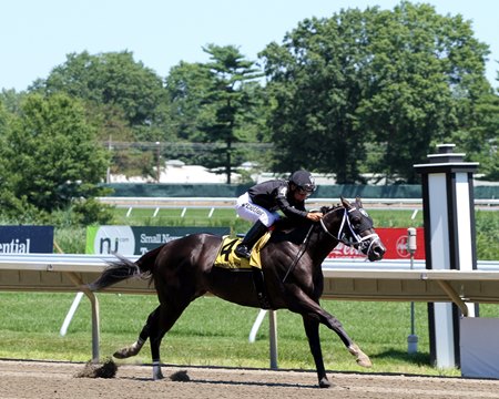 Sharp Azteca Breezes in Monmouth Cup - BloodHorse