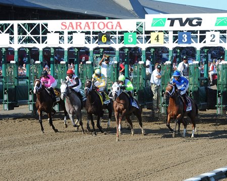 tvg saratoga