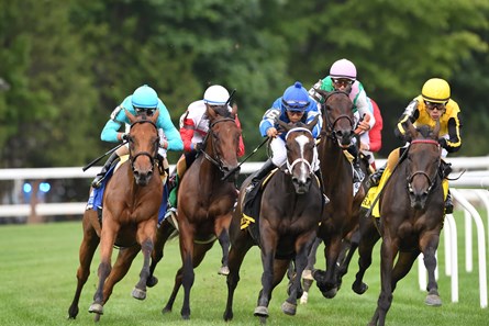 Lady Eli - Horse Profile - BloodHorse