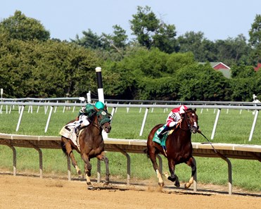 Songbird - Horse Profile - BloodHorse