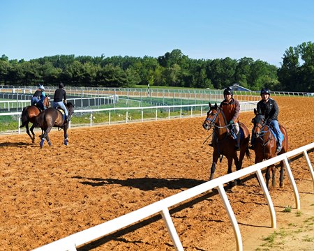Fair Hill Training Center in Maryland