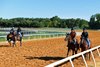 Scenes at Fair Hill Training Center in Fair Hill, Maryland.
May 16, 2017 Fair Hill Training Center in Fair Hill, Maryland. 