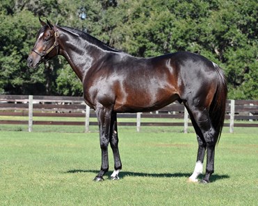 Wrote at Northwest Stud.