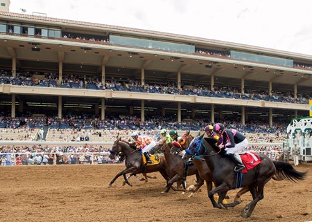 CHRB officials plan to examine the quick mortality review procedures in place at Del Mar