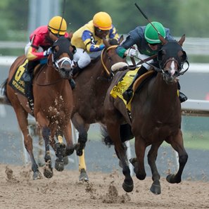 Glamanation First Stakes Winner for Point of Entry - BloodHorse