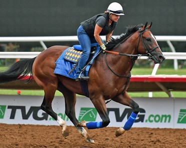 st patricks day american pharoah