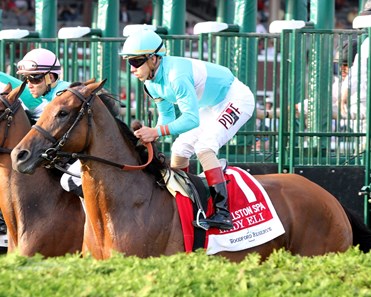 Lady Eli - Horse Profile - BloodHorse