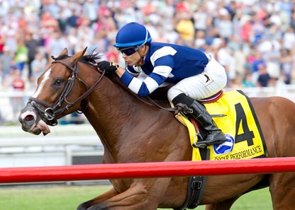 Oscar Performance - Horse Profile - BloodHorse