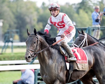 Cloud Computing
West Coast with Mike Smith wins Travers at Saratoga racecourse in Saratoga Springs, N.Y. on Aug. 26, 2017