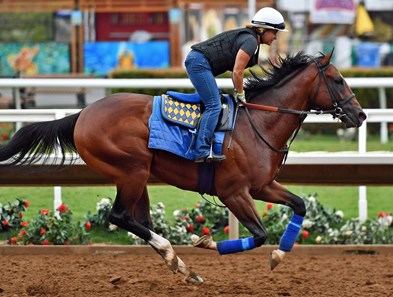 st patricks day racehorse
