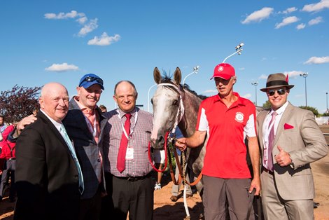 Lucky Seven's Breed-to-Race Success Story - BloodHorse