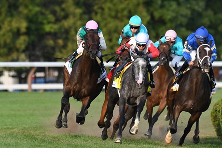 Lady Eli - Horse Profile - BloodHorse