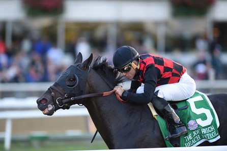 Beach Patrol Horse Profile Bloodhorse