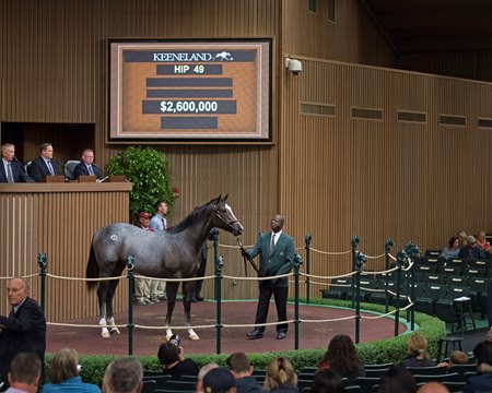 Pope buys Tapit colt for $2.1 million