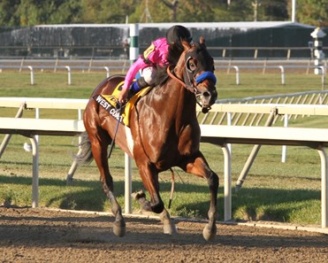 West Coast - Horse Profile - BloodHorse