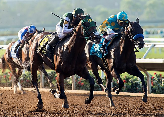 Bolt d'Oro passes Zatter to win the Del Mar Futurity