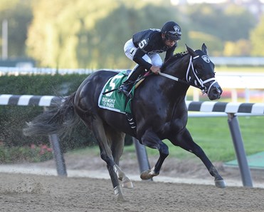 Sharp Azteca - Horse Profile - BloodHorse