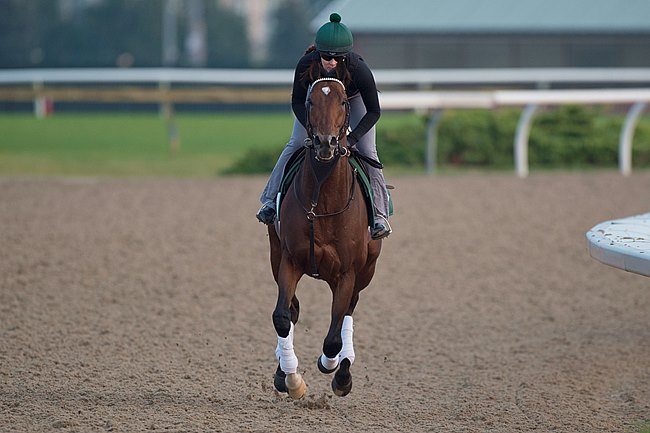 Long On Value gallops at Woodbine