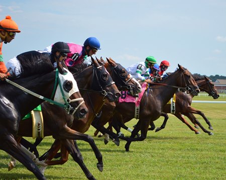 Racing at Kentucky Downs
