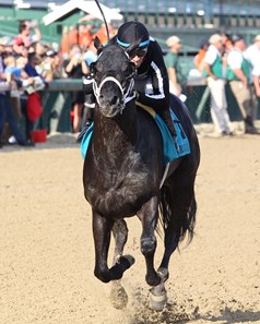 The Tabulator - Horse Profile - BloodHorse